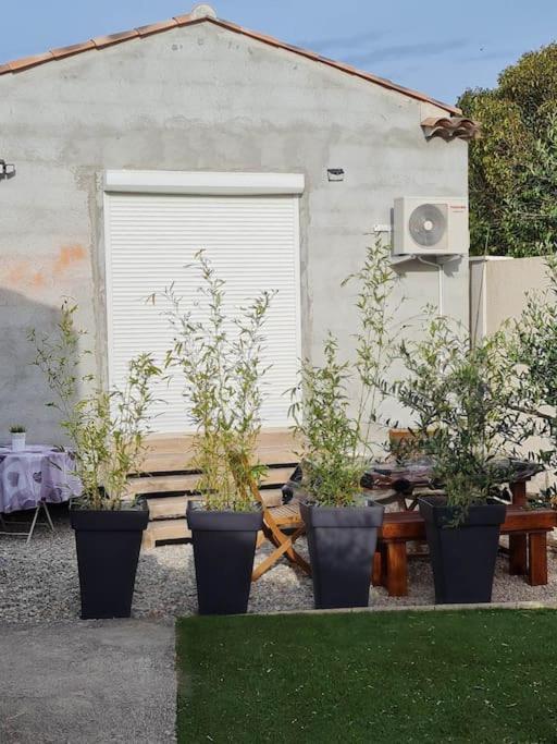 Appartement 53 M² - Pignans Au Coeur Du Var Екстер'єр фото